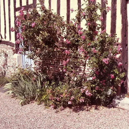 Bed & Breakfast Aux Pommiers De Livaye